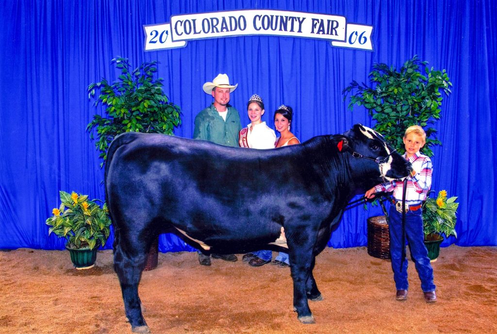Youth exhibitor with a steer at the Colorado County Fair, 2006