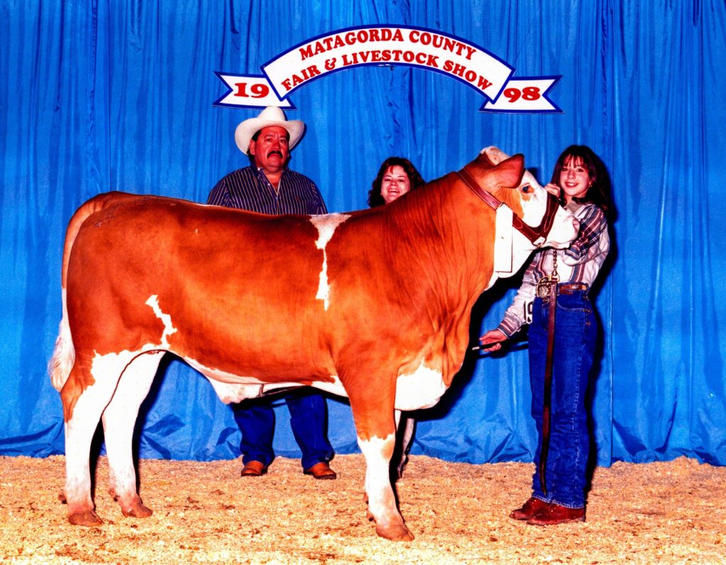 Youth livestock exhibitor with a heifer at the Matagorda County Fair & Livestock Show, 1998